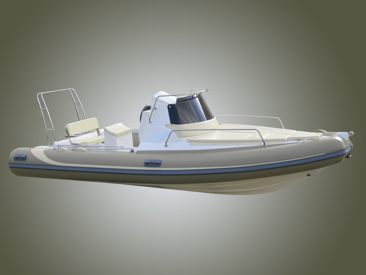 Profilo completo del gommone semicabinato Cabin 56